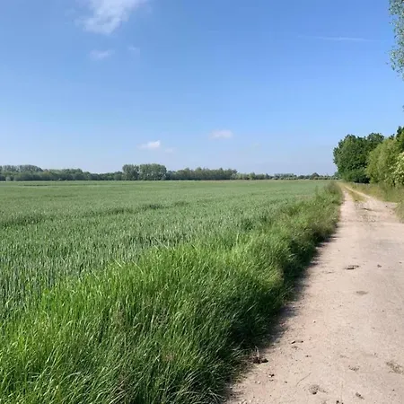 In Near The Lägenhet Nieuwpoort