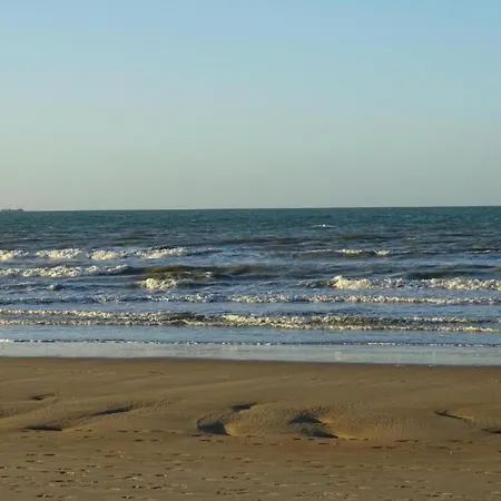 In Near The Ньивпорт