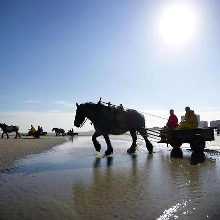 In Near The Ньивпорт