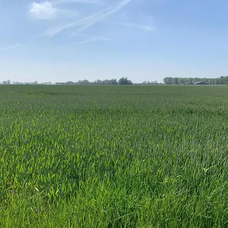 In Near The Апартаменты